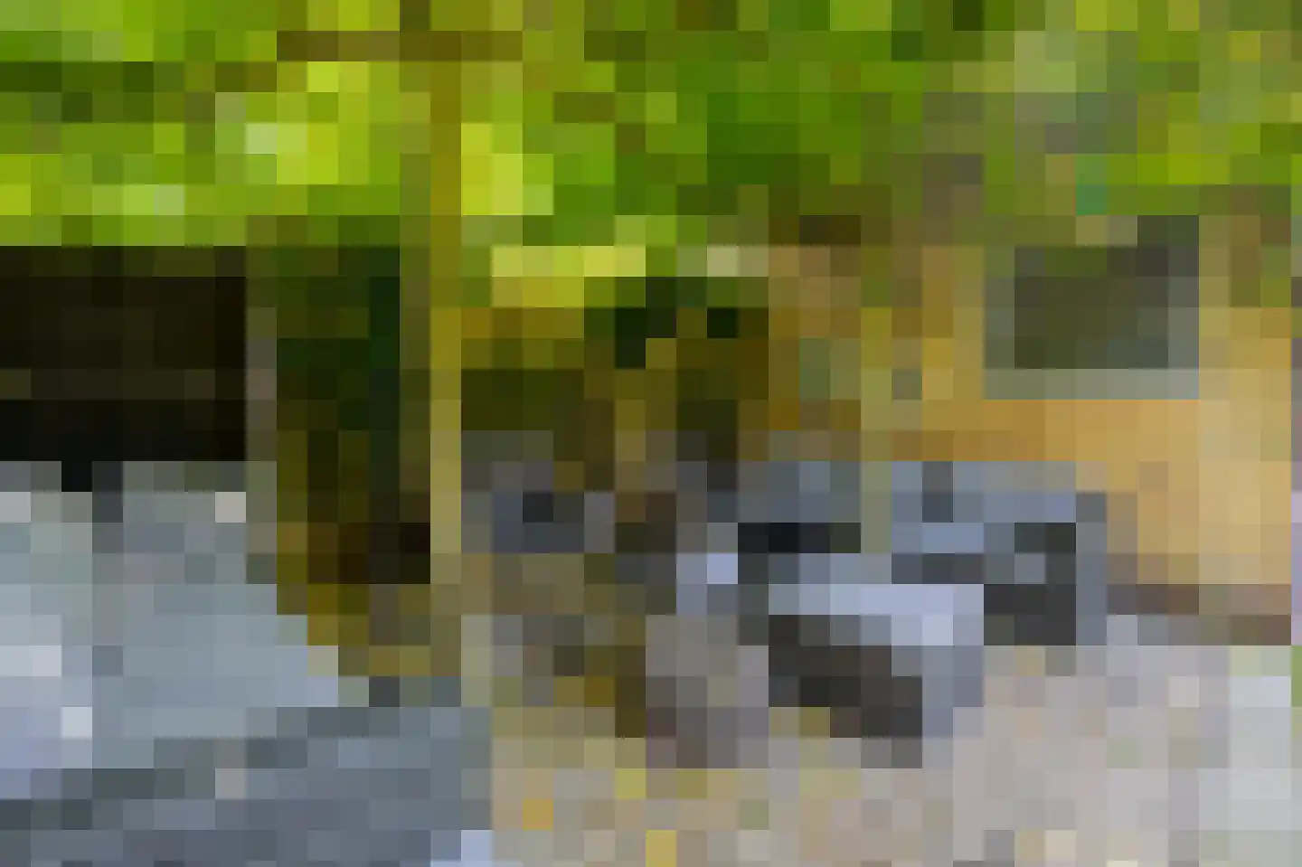 Hanikerweg 49 Lomm thumbnail 30