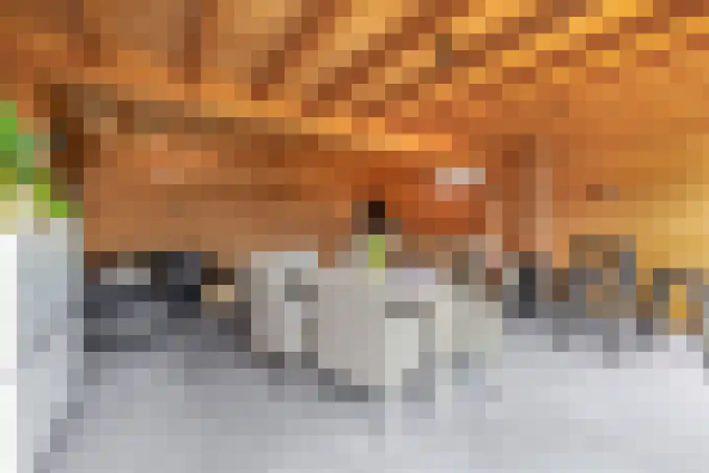 Hanikerweg 49 Lomm thumbnail 31
