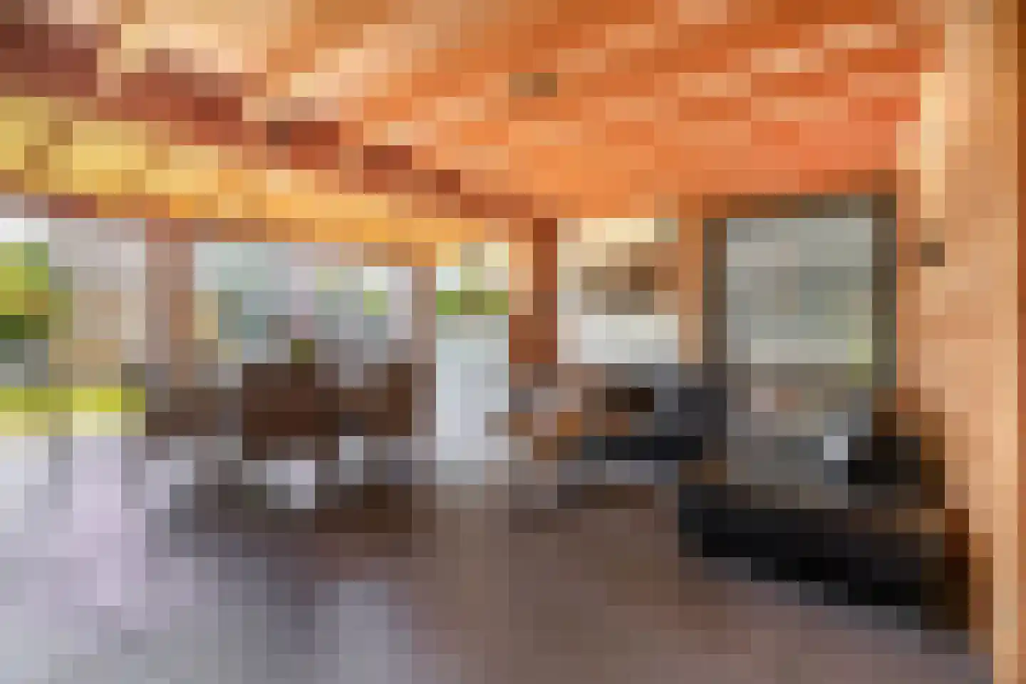 Hanikerweg 49 Lomm thumbnail 32