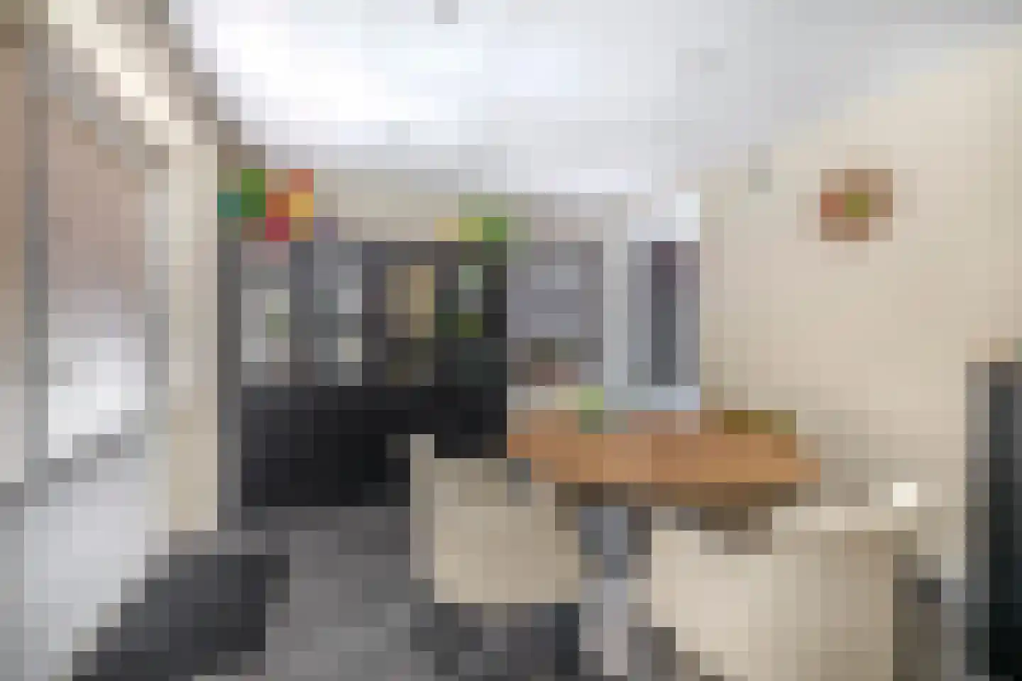 Hanikerweg 49 Lomm thumbnail 36