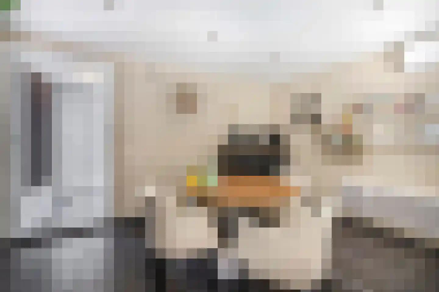 Hanikerweg 49 Lomm thumbnail 37