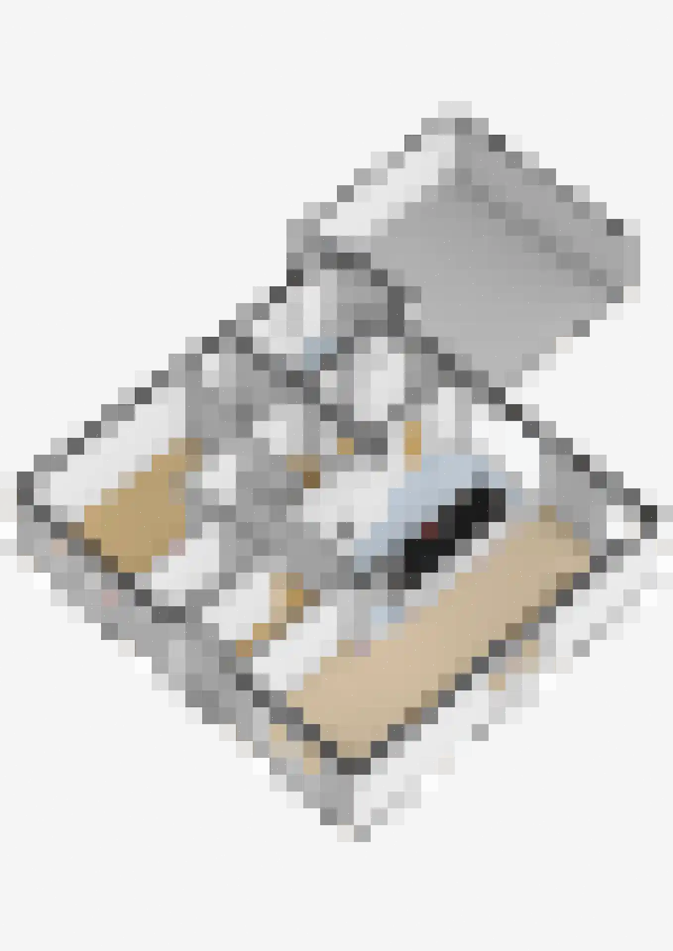 Hanikerweg 49 Lomm thumbnail 44