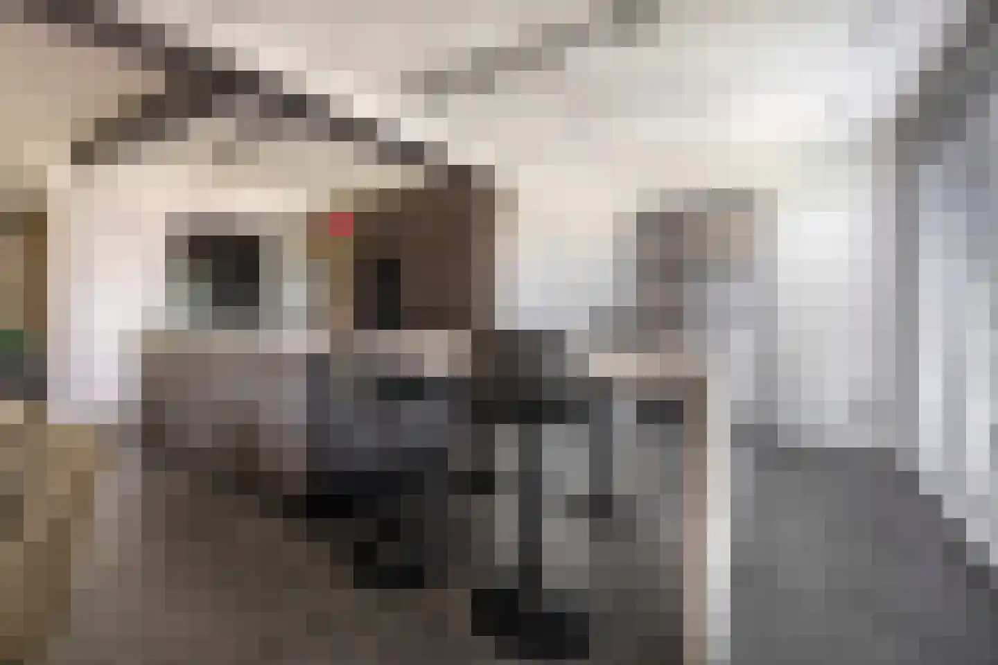 Hanikerweg 49 Lomm thumbnail 5