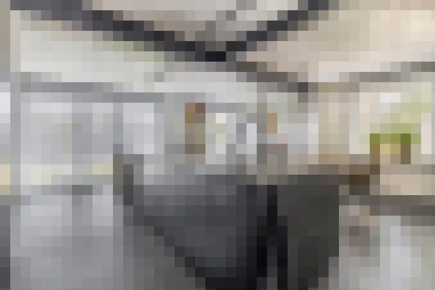 Hanikerweg 49 Lomm thumbnail 7
