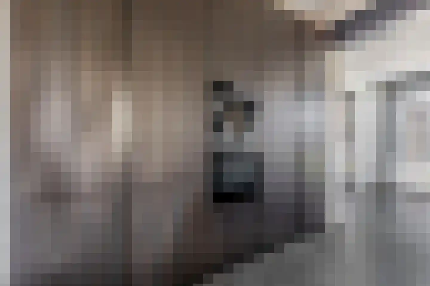 Hanikerweg 49 Lomm thumbnail 8