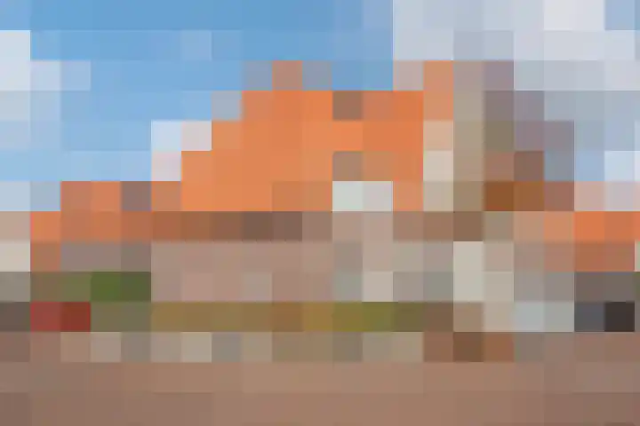 Hank 1 Poeldijk