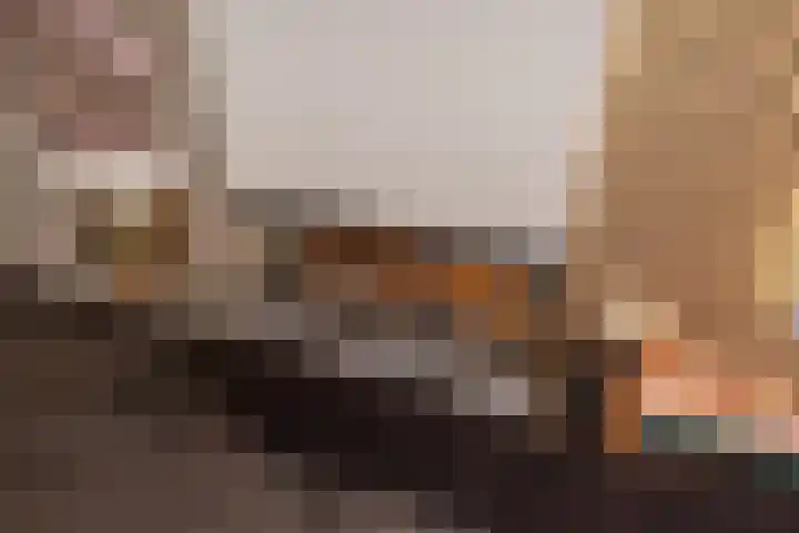 Hank 1 Poeldijk thumbnail 10