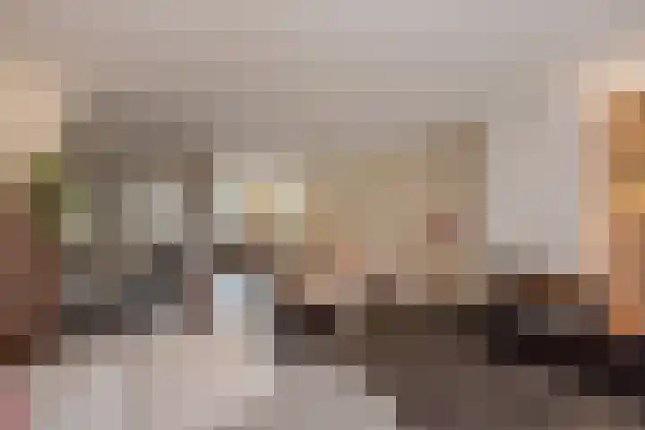 Hank 1 Poeldijk thumbnail 11