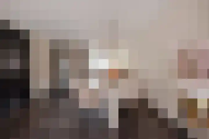 Hank 1 Poeldijk thumbnail 13