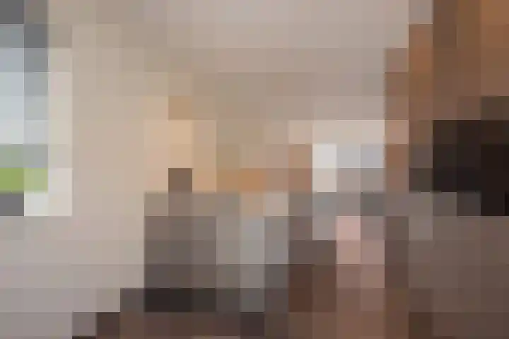 Hank 1 Poeldijk thumbnail 14