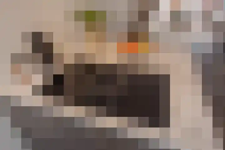 Hank 1 Poeldijk thumbnail 17