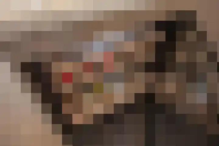 Hank 1 Poeldijk thumbnail 18