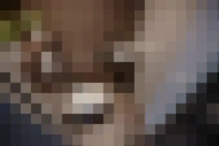 Hank 1 Poeldijk thumbnail 19