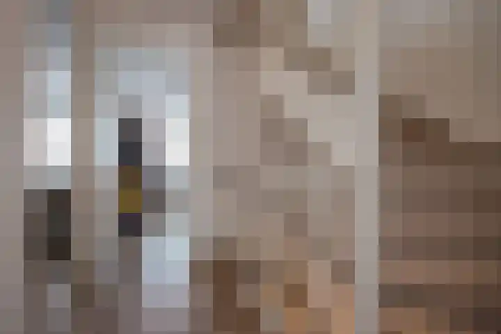 Hank 1 Poeldijk thumbnail 21
