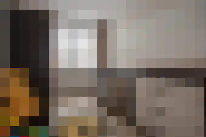 Hank 1 Poeldijk thumbnail 25