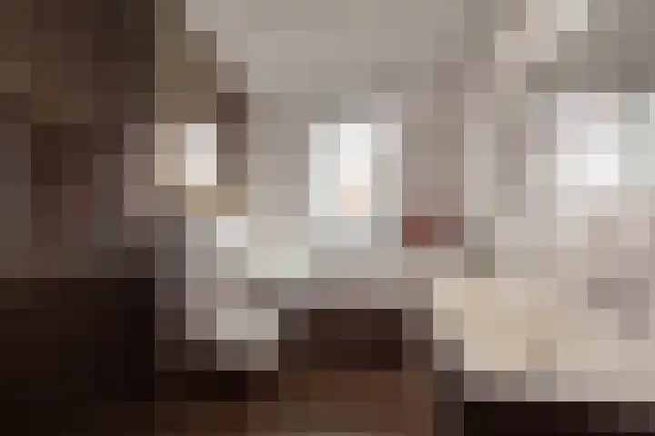 Hank 1 Poeldijk thumbnail 26