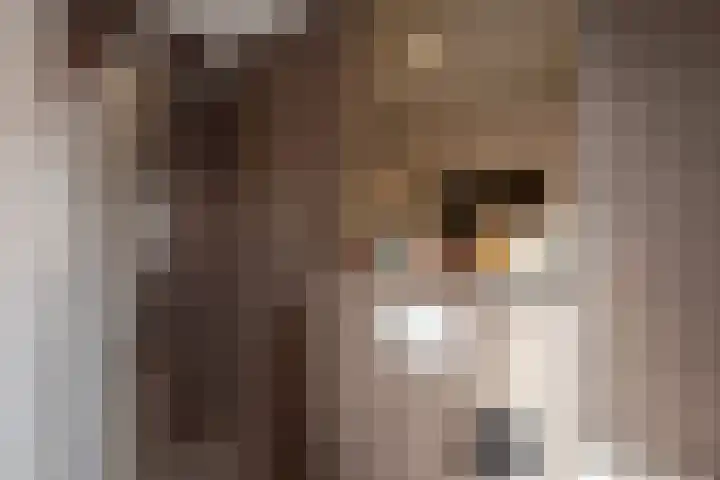 Hank 1 Poeldijk thumbnail 27