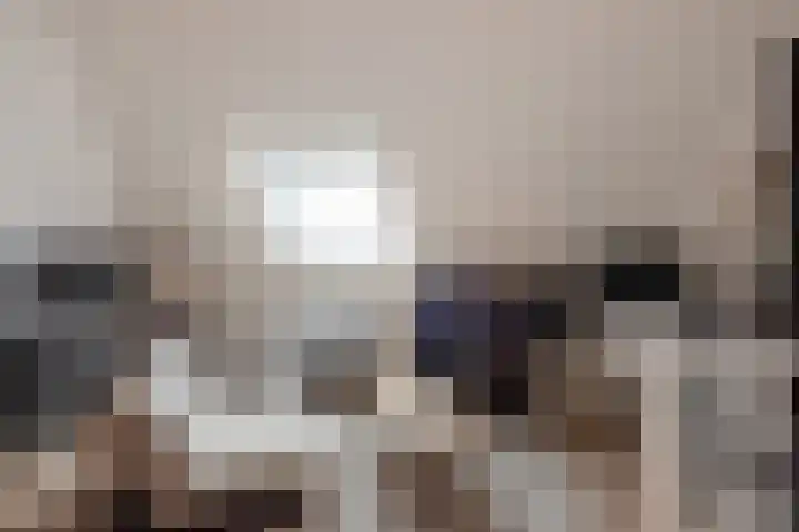 Hank 1 Poeldijk thumbnail 30