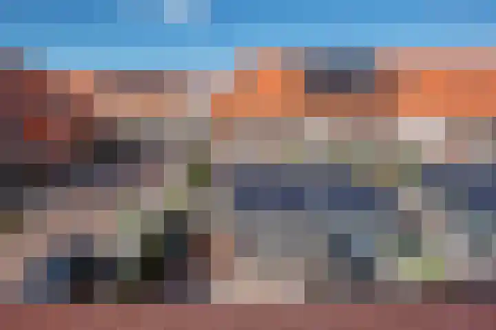 Hank 1 Poeldijk thumbnail 31
