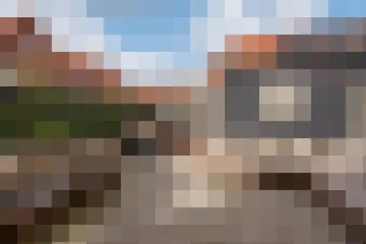 Hank 1 Poeldijk thumbnail 32