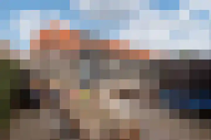 Hank 1 Poeldijk thumbnail 33