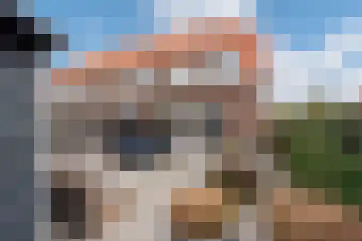 Hank 1 Poeldijk thumbnail 34