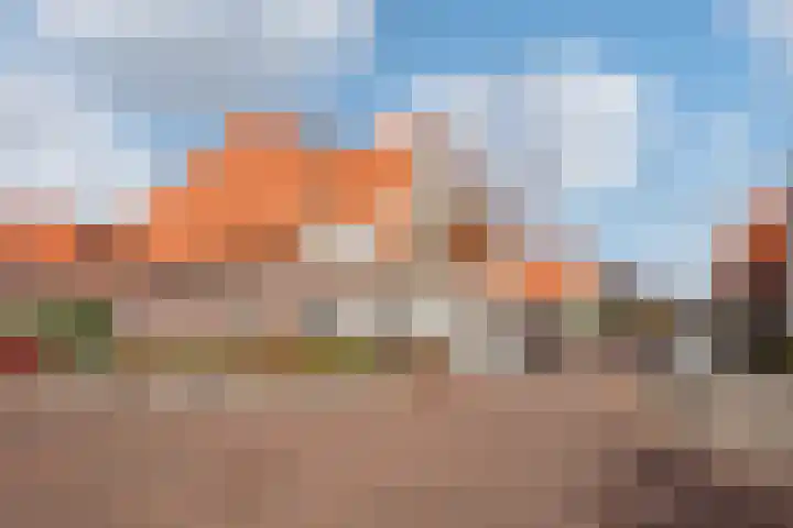 Hank 1 Poeldijk thumbnail 35