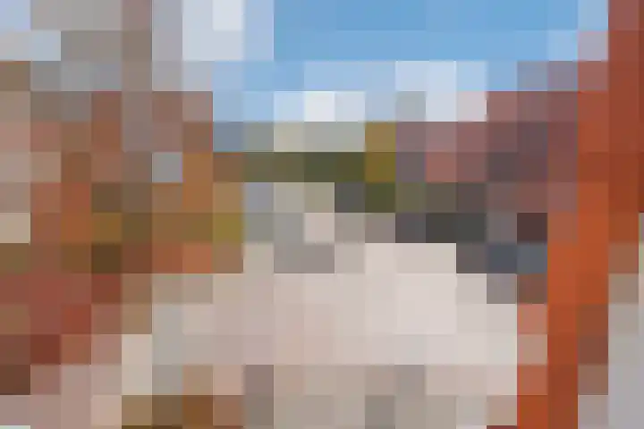 Hank 1 Poeldijk thumbnail 36