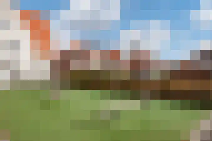 Hank 1 Poeldijk thumbnail 37