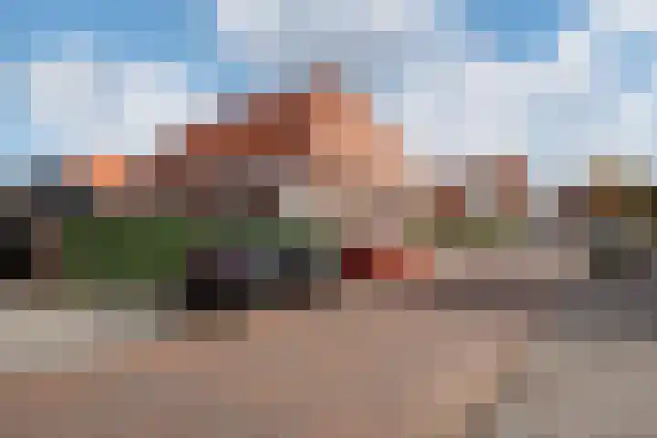 Hank 1 Poeldijk thumbnail 38