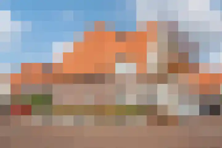 Hank 1 Poeldijk thumbnail 5