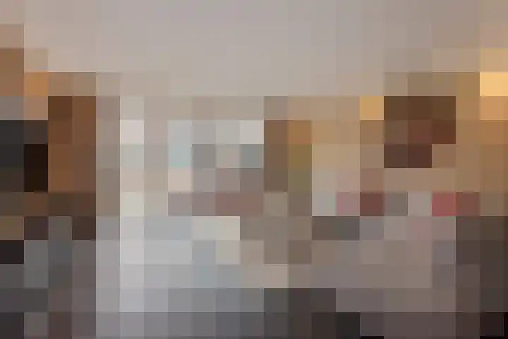 Hank 1 Poeldijk thumbnail 8