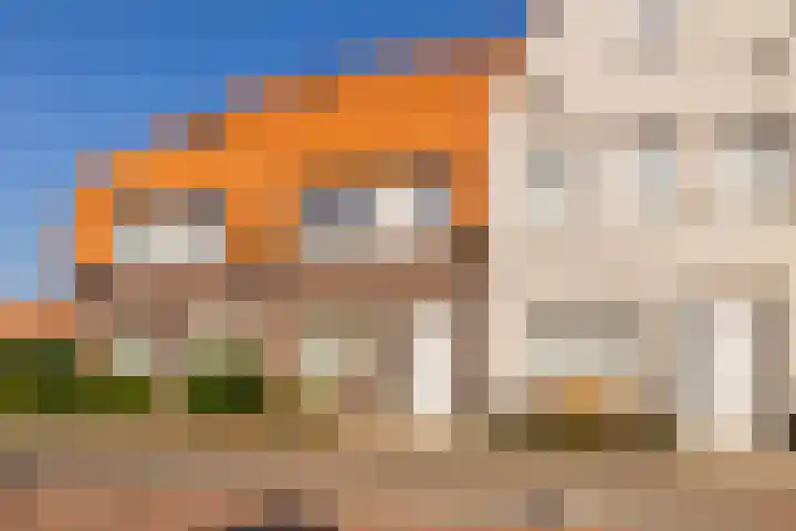 Hank 11 dans Poeldijk