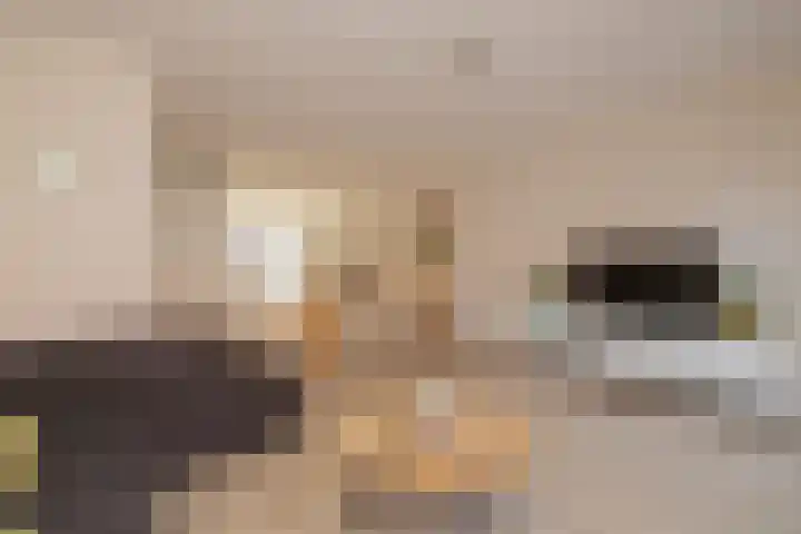 Hank 11 Poeldijk thumbnail 10