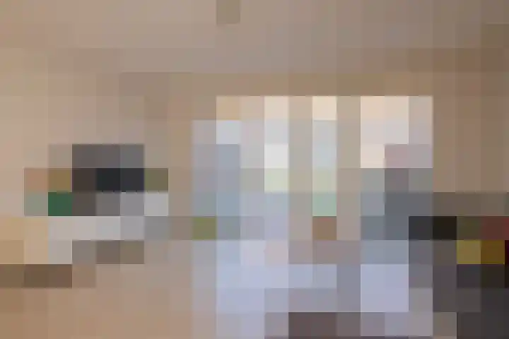Hank 11 Poeldijk thumbnail 17
