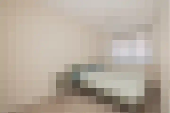 Hank 11 Poeldijk thumbnail 20