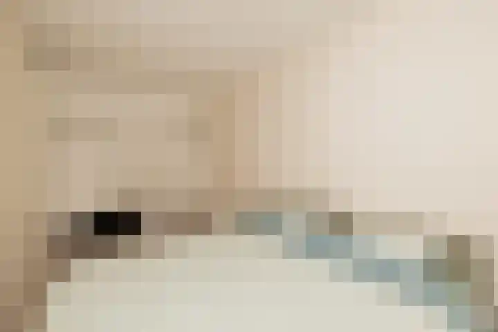 Hank 11 Poeldijk thumbnail 21