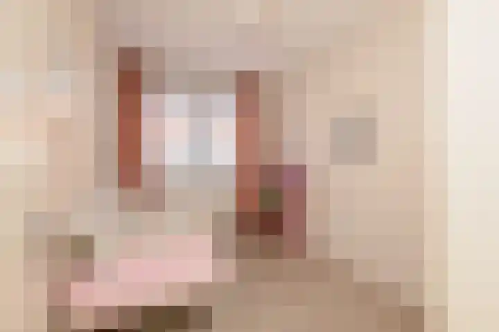 Hank 11 Poeldijk thumbnail 22