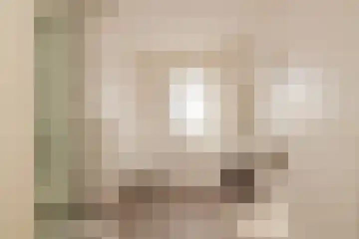 Hank 11 Poeldijk thumbnail 24