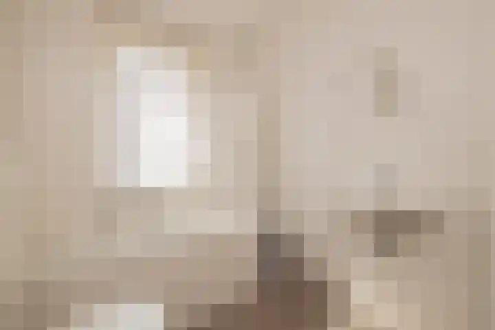 Hank 11 Poeldijk thumbnail 25