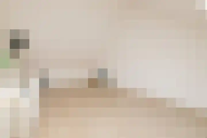 Hank 11 Poeldijk thumbnail 29
