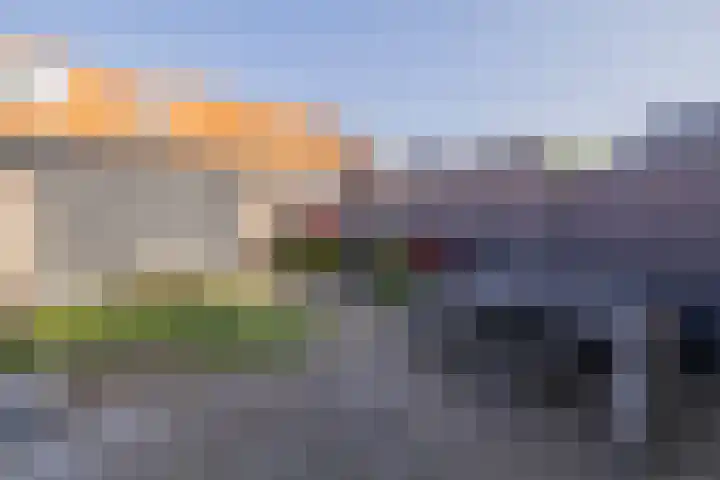 Hank 11 Poeldijk thumbnail 33