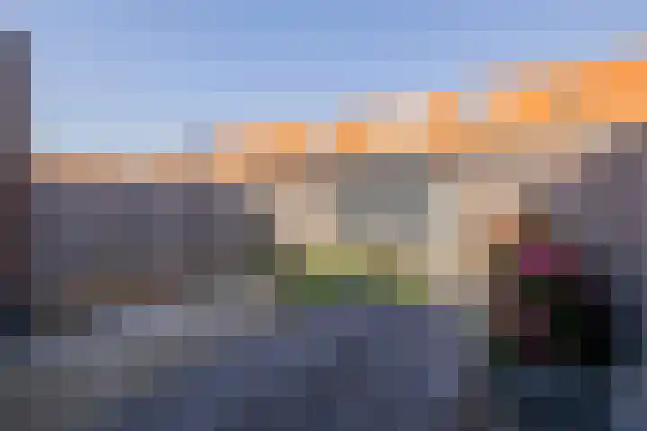 Hank 11 Poeldijk thumbnail 34