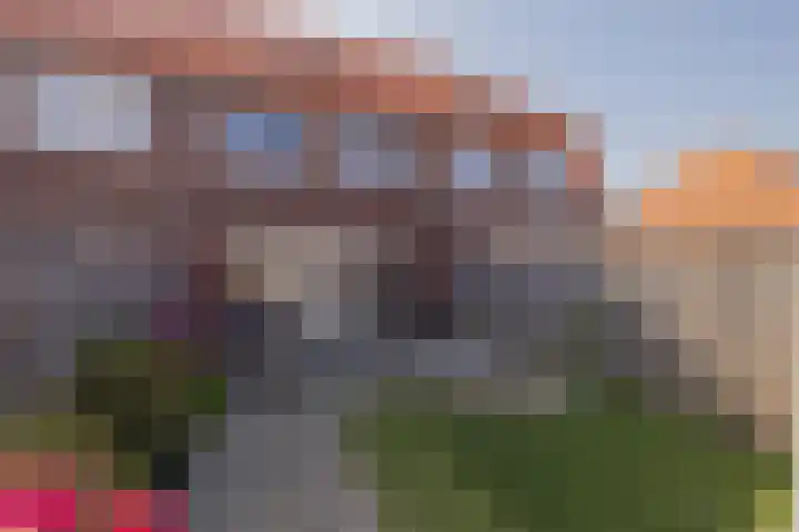 Hank 11 Poeldijk thumbnail 35