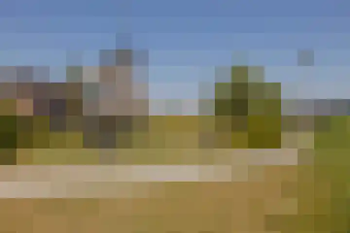 Hank 11 Poeldijk thumbnail 36
