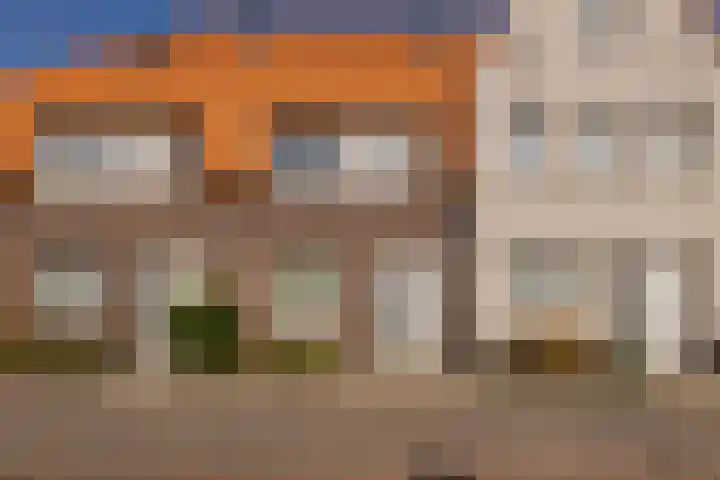 Hank 11 Poeldijk thumbnail 4