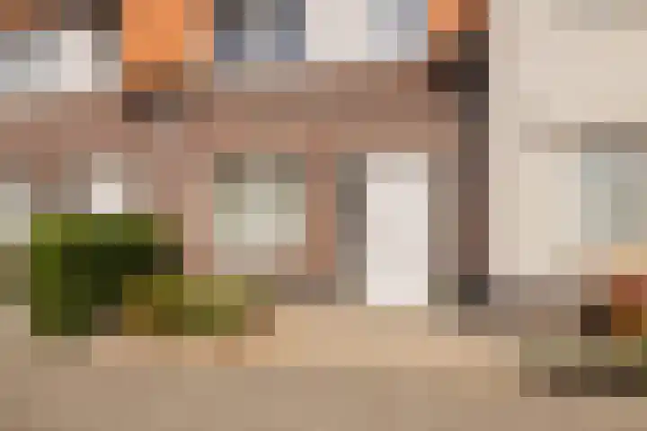 Hank 11 Poeldijk thumbnail 5