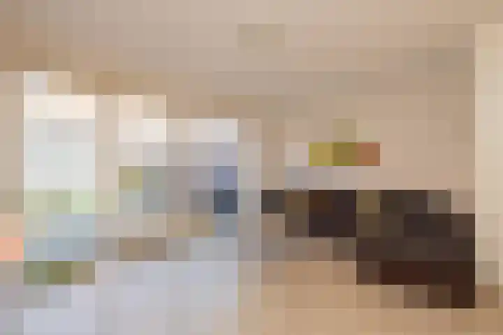 Hank 11 Poeldijk thumbnail 8