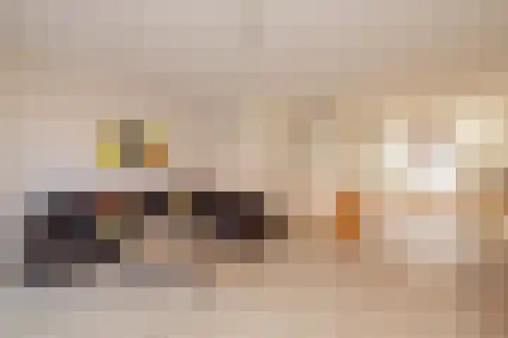 Hank 11 Poeldijk thumbnail 9