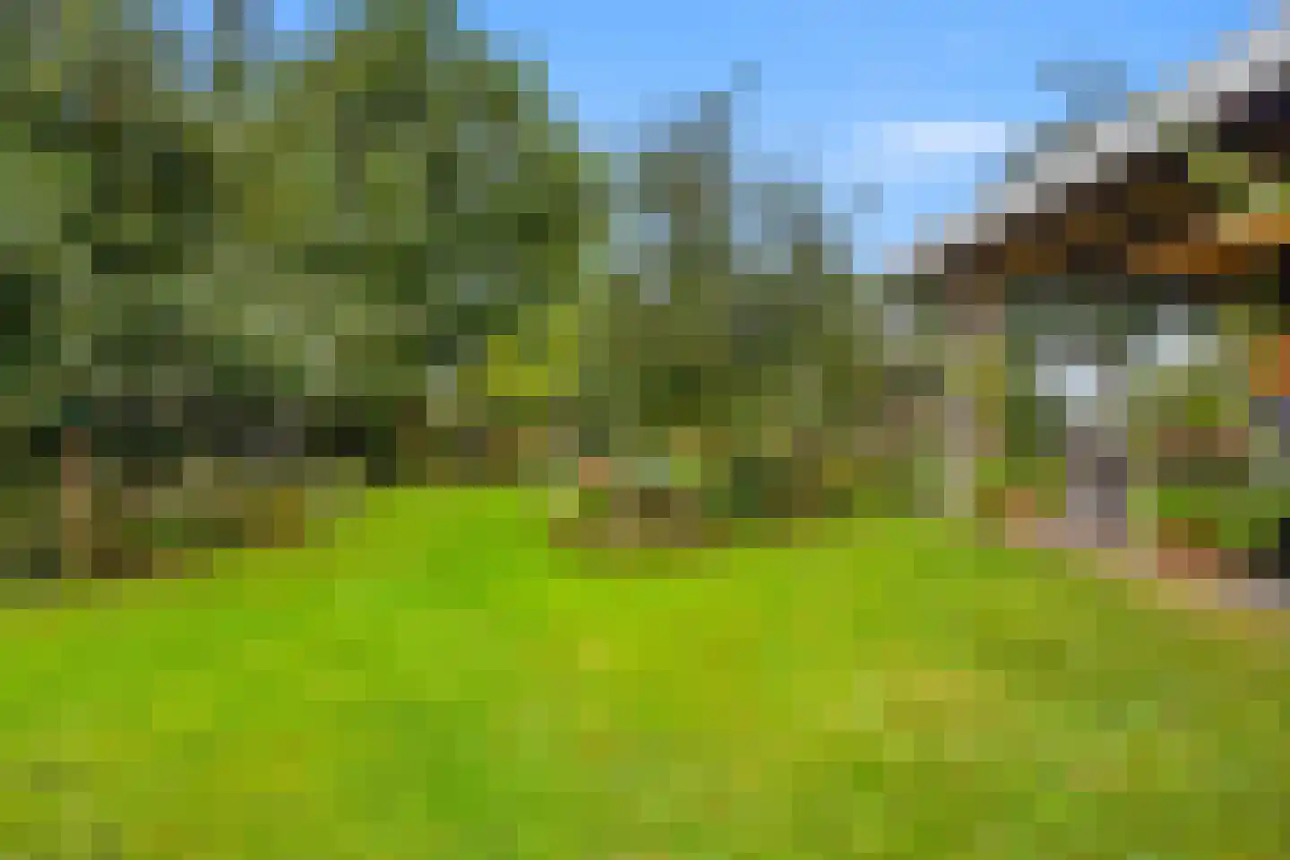 Hank 39 Wanroij thumbnail 28